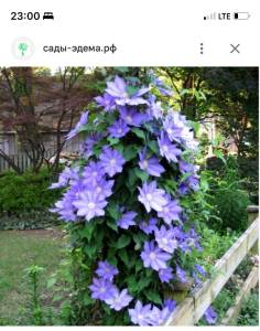 IMG_9826.jpeg