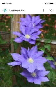 IMG_9830.jpeg