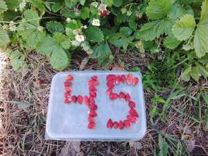 IMG_COM_202509160855140360.jpg