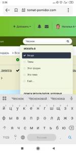 Screenshot_2025-09-24-02-35-36-101_ru.yandex.searchplugin.jpg