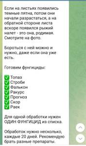 Screenshot_20250913-233326_Telegram.jpg