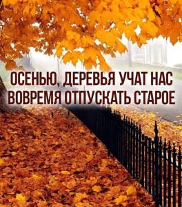 b0800a5d74c1418eac8c80cce05959db.thumb.jpg.80f9773bc7aada600ee3dc4894817096.jpg