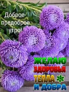 b2511968a528e42c84172bef22034e5c.jpg