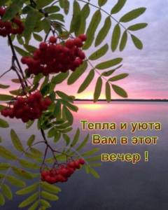 b28c38c6d9c450e79856f952766ff0e8.thumb.jpg.1b3ac161f5e2deca6252c189ca90d2db.jpg