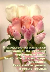 b5c7274d3904520fdbc112f5671dcaf5.jpg