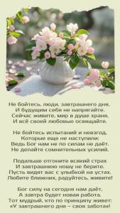 b7271dbd681d125b839621865644bd42.jpg
