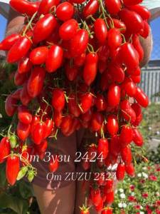 dZ0JgvLg8C_65R1bfP-35ozRFbUqc0OI5yxhFdVmPIMyP-JBLCSS5RE29AU51ruQ370W0FAKojol1YGC-5TWoTmN.jpg