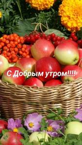 e0bb516b4d7fb04e77e063d667d5c4ce.jpg