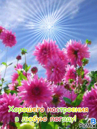 e12de80885ef803b70ac746863bb3db5.gif