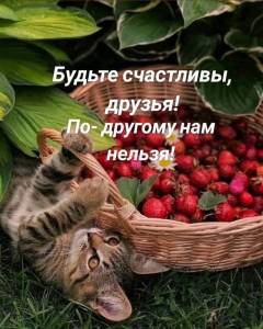 fc74a46cea48bcd3b7ffb84ee55c5042.thumb.jpg.aec8f00e9069a89b2d2a0d25754011e3.jpg