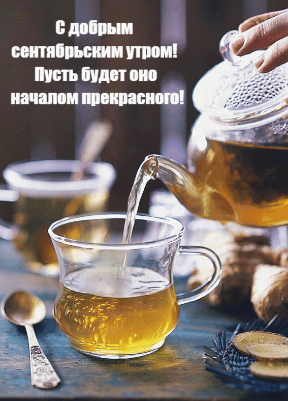 gifkin_ru_2985.gif
