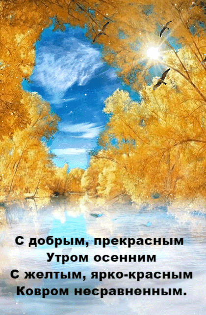 gifkin_ru_3149.gif