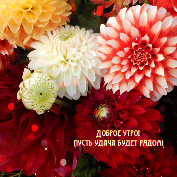 gifkin_ru_3235.gif