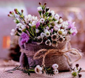 image.thumb.png.14895819c93ceadfbc4a2ecd5d360f69.png
