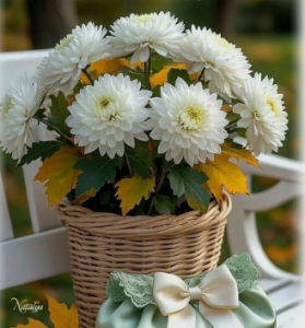 image.thumb.png.2feccf0b1a26a699ab6d37d7993b7bf4.png