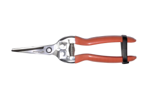image.thumb.png.847930a9ac14d35d8e5c216b6b6350a7.png