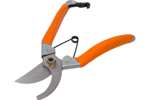 image.thumb.png.963d05a02892e8140af062ca87789a90.png