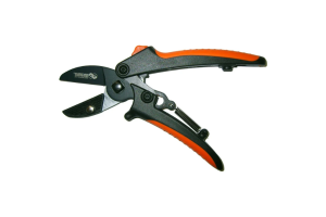 image.thumb.png.bd1b2a096e60a610a83a5488716ea3c8.png