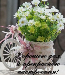 image.thumb.png.c063e9f58a46c8e9dc2bfd3f090da482.png