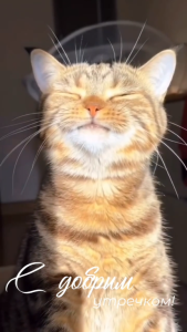 image.thumb.png.d60014730ca132db889adead89886675.png
