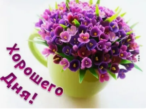 image.thumb.png.fc84dc786665860f7634ccb2e65c1614.png
