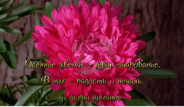 osennie-peyzazhi-na-otkrytkah-otkrytki-na-kotoryh-izobrazhena-osen-2078.gif