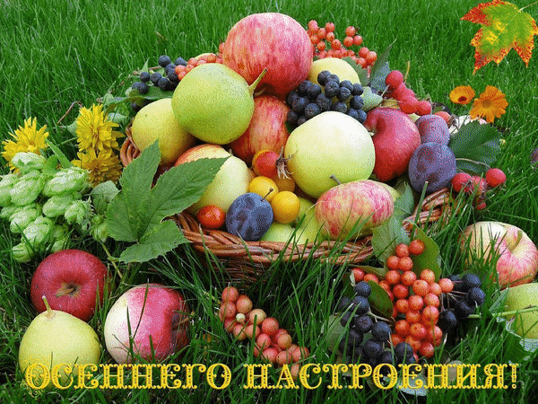 osennie-peyzazhi-na-otkrytkah-otkrytki-na-kotoryh-izobrazhena-osen-2571.gif