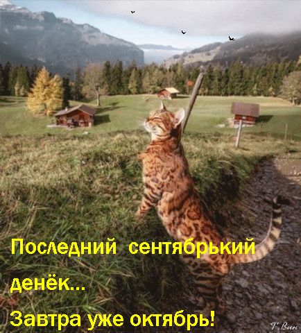 poslednij-sentyabrskij-den-k-zavtra-uzhe-oktyabr.thumb.gif.39cf759f4284e9f0bdeac34c38d496b6.gif