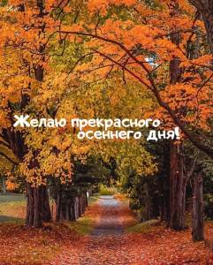 rupix_ru_11389.jpg