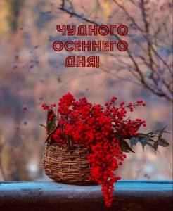 rupix_ru_5277.jpg
