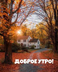 rupix_ru_5858.jpg