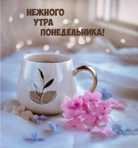 rupix_ru_911.jpg
