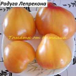 Радуга Лепрекона (8)11.jpg