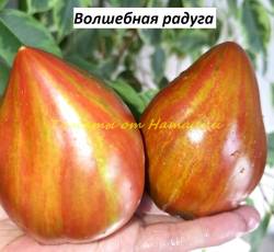 Волшебная радуга (6).jpg