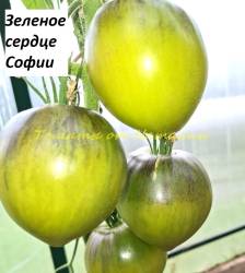 Зеленое сердце Софии (12)11.jpg