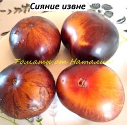 Сияние извне (2)11.jpg