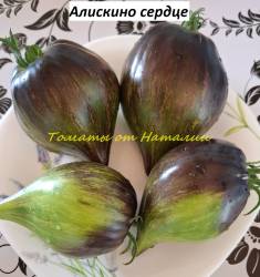 Алискино сердце с антоц (3).jpg