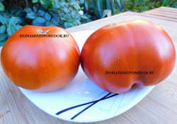 1вишнёвый мясник.png