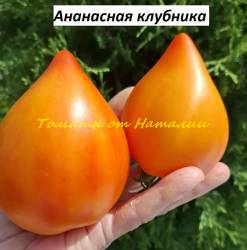 Ананасная клубника (29).jpg