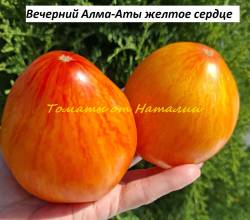 Вечерний АлмА_Аты желтое сердце (15)11.jpg