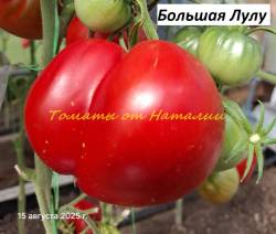 Большая Лулу (1)11.jpg