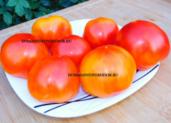1восход солнца долина флойд .png