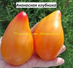 Ананасная клубника (21).jpg