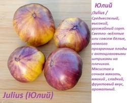 Джулиус.jpg
