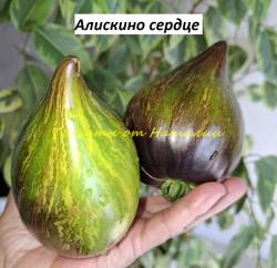 Алискино сердце с антоц (7)11.jpg