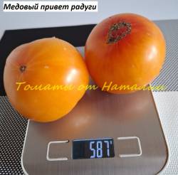 Медовый привет радуги (3)11.jpg