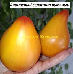 Ананасный сержант румяный (17)11.jpg