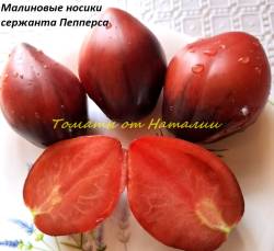 Малиновые носики (8)11.jpg
