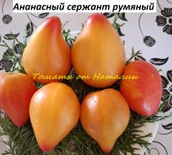 Ананасный сержант румяный (20)11.jpg