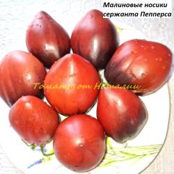 Малиновые носики (1)11.jpg